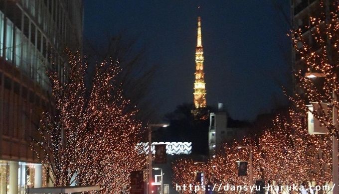 断酒主婦はるかが撮ったクリスマスの東京タワーとイルミネーション